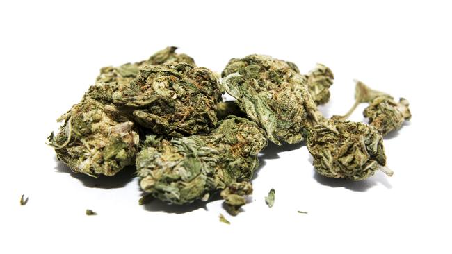 Police found cannabis head and leaf at the man’s home and in Crown bushland.