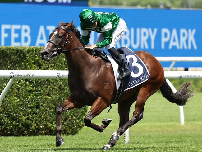 SYDNEY, AUSTRALIA - FEBRUARY 15: Adam Hyeronimus  riding Shaggy  win Race 3 Pierro Plate during Sydney Racing at Royal Randwick Racecourse on February 15, 2025 in Sydney, Australia. (Photo by Jeremy Ng/Getty Images)