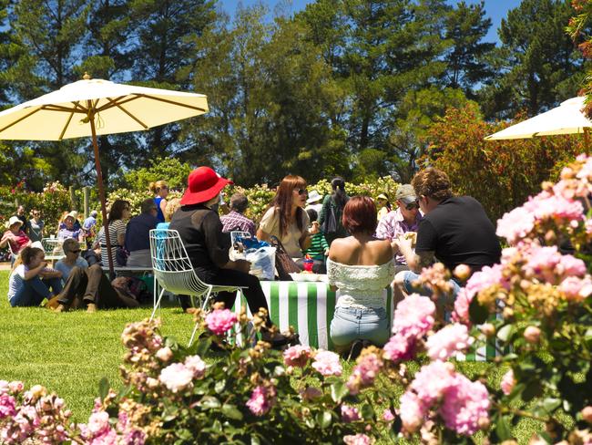 Relaxing among the roses. Picture: Wyndham Council