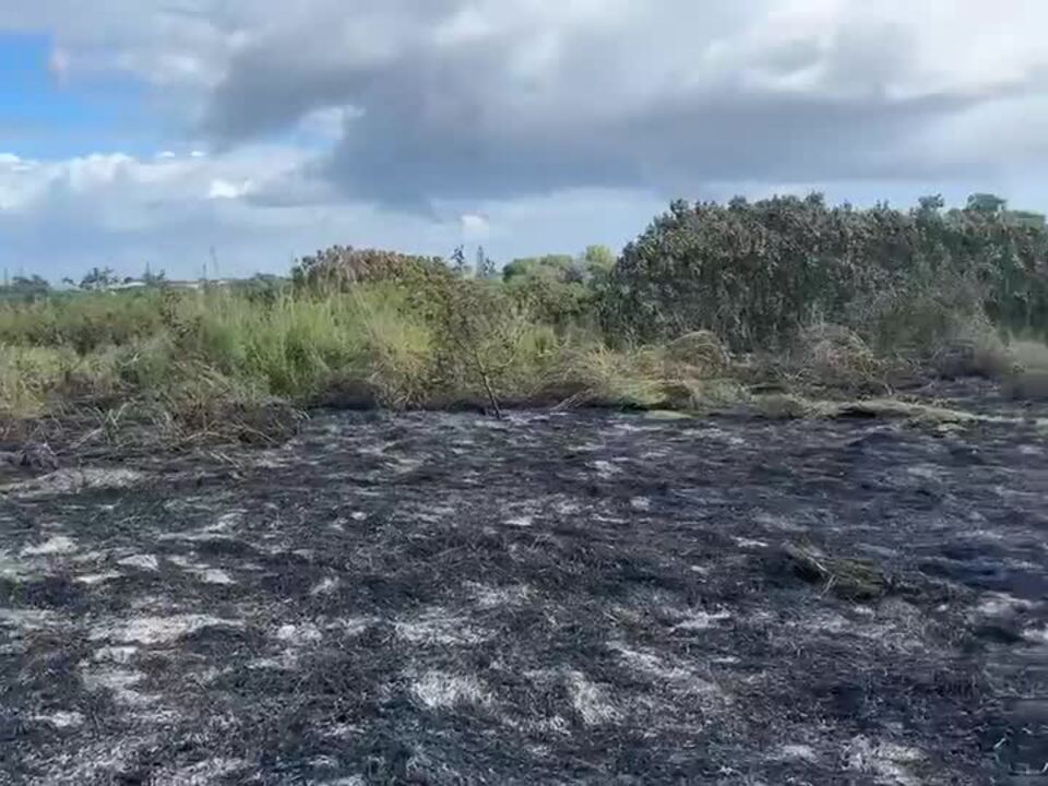 Windermere Park vegetation fire aftermath