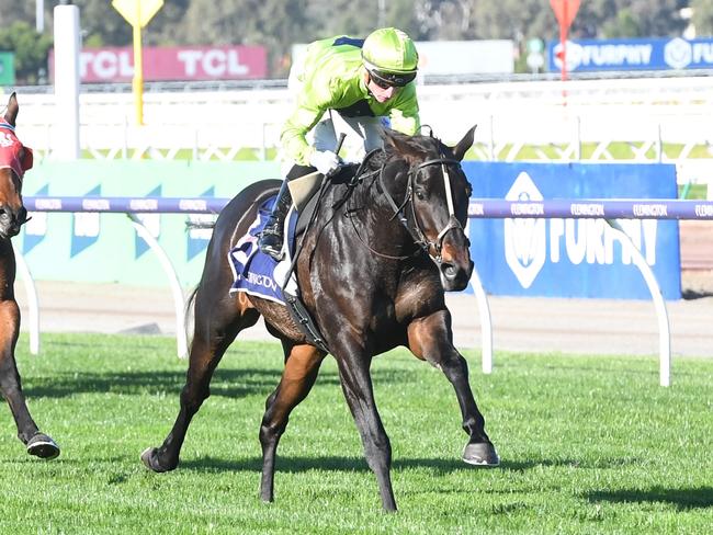 Navy King (NZ) ridden by Daniel Stackhouse wins the Sir Henry Bolte Handicap at Flemington Racecourse on May 18, 2024 in Flemington, Australia. (Photo by Brett Holburt/Racing Photos via Getty Images)