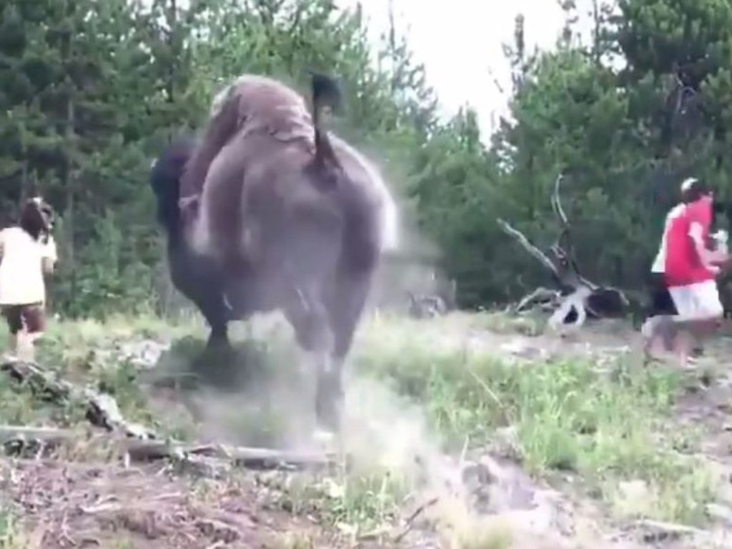 As the bull charges, the young girl's parents run to safety, leaving her exposed.