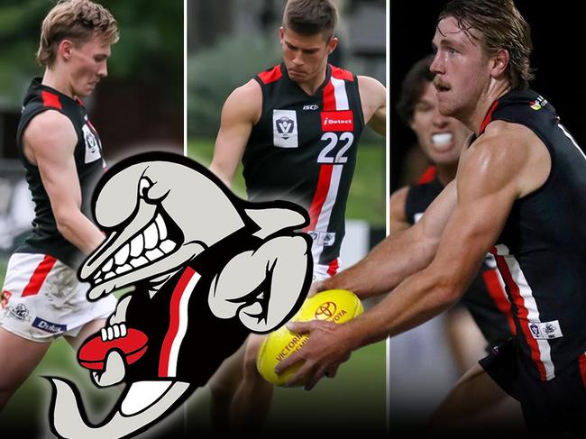 web VFL Frankston Dolphins 1024