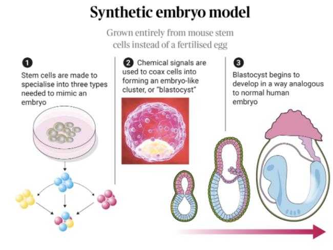 There are many questions about the research, announced at a conference in Boston. Illustration: The Times