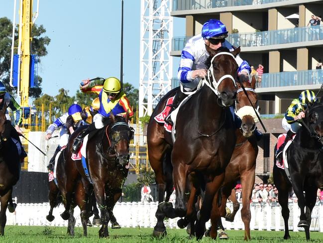 Kovalica kicks off his spring campaign in the Theo Marks Stakes at Rosehill.