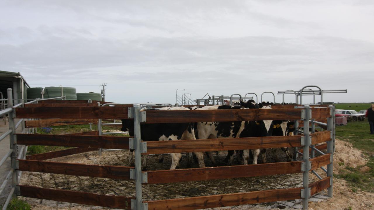 Kurleah dairy property at Allendale East, South Australia. Picture: File