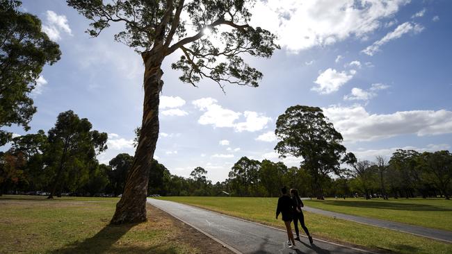 There are plenty of walking tracks to explore at Jells Park in Wheelers Hills.