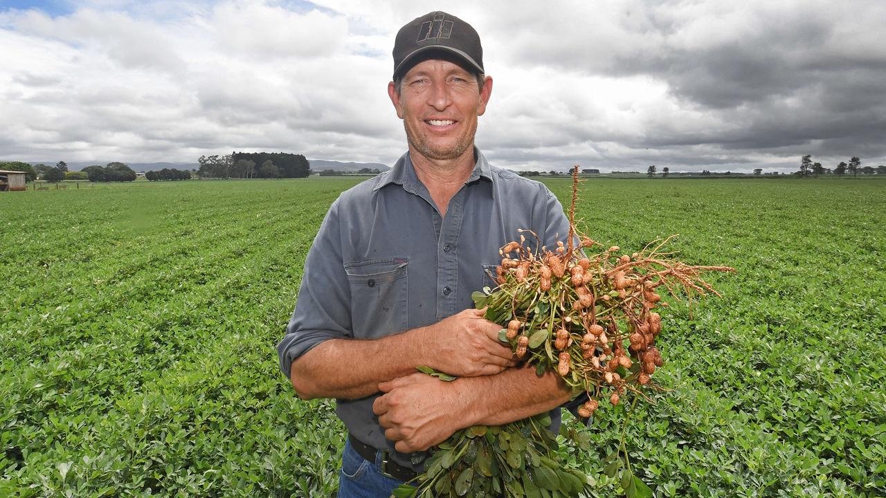 Aussie peanut butter takeover fuels need for more local nuts The