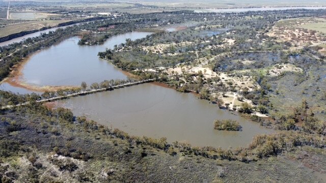 Morgan riverfront and lagoons, Oct 2022. Picture: Cody Campbell