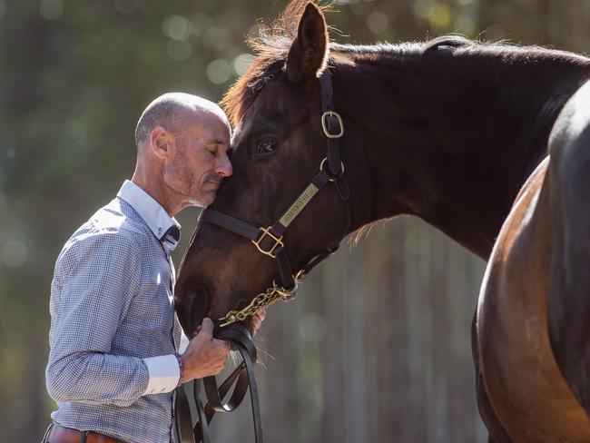 Boss shares a quiet moment with the mighty mare. Picture: Jason Edwards