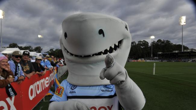 Fans enjoy the atmosphere at the NRL match between Cronulla Sharks and Gold Coast Titans at C.ex Stadium. Photo: Tim Jarrett