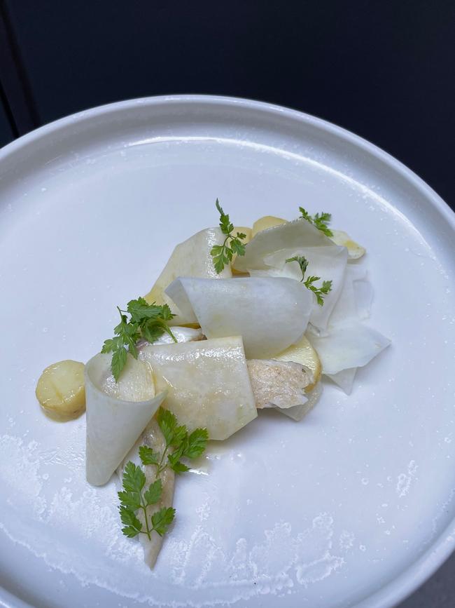 Salted mulloway, kipfler, kohlrabi – Fino Vino