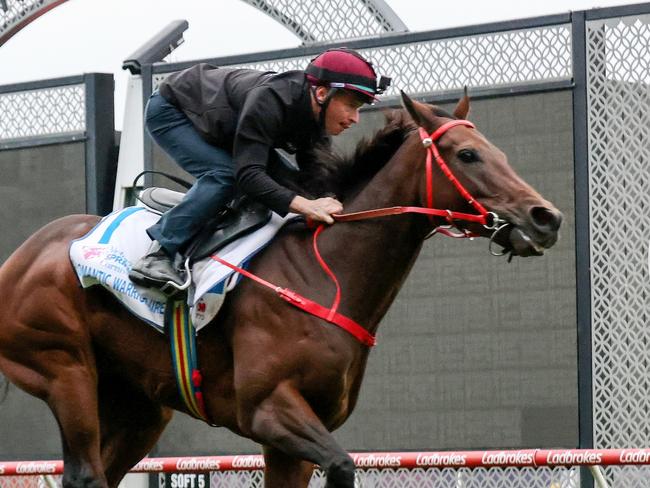 James McDonald on board Romantic Warrior during trackwork at Moonee Valley Racecourse on October 23, 2023 in Moonee Ponds, Australia. (Photo by George Salpigtidis/Racing Photos via Getty Images)