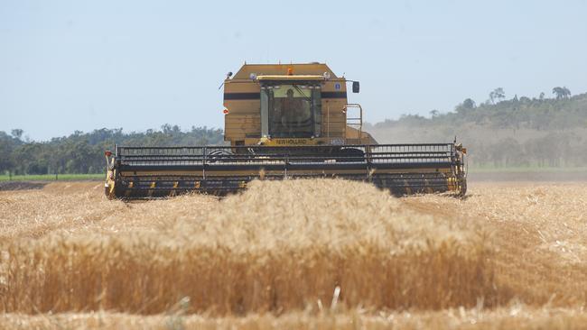 Huge fallout: Lempriere Grain has collapsed with debts of $18.8 million.