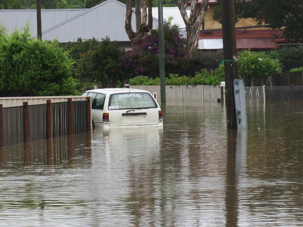 Central Coast flooding Cow, pumpikin wash up on Umina beach Daily