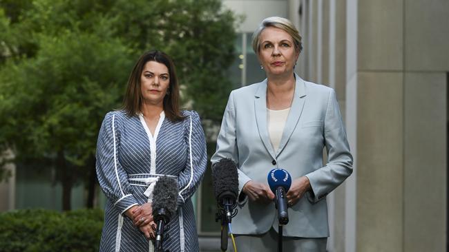 Senator Hanson-Young and Environment Minister Tanya Plibersek have announced a deal over the Murray-Darling Basin Plan. Picture: NCA NewsWire/Martin Ollman