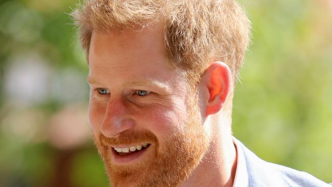 There are a myriad of ways that we can help the environment, Harry. Picture: Chris Jackson/Getty