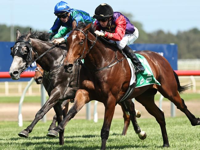 KEMBLA GRANGE, AUSTRALIA - NOVEMBER 23: Jason Collett riding  Gilded Water wins Race 5 PFD Food Services during "The Gong Day" at Kembla Grange Racecourse on November 23, 2024 in Kembla Grange, Australia. (Photo by Jeremy Ng/Getty Images)