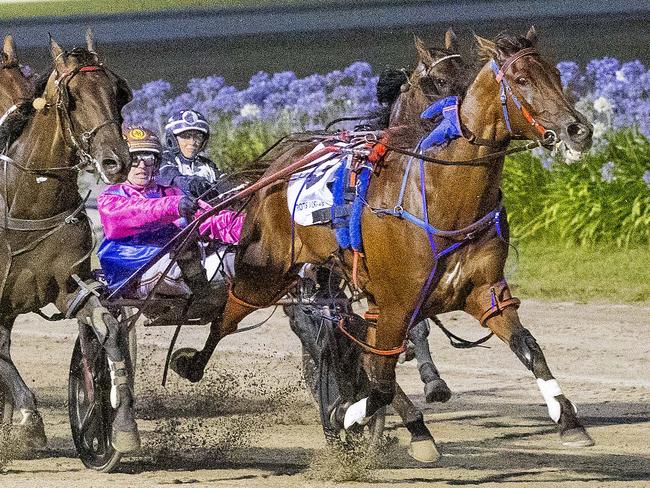 Race 6: Ballarat, Saturday 18-1-2025 Woodlands Stud Ballarat Pacing Cup (Group 2)(No Nr.) Winner: Bulletproof Boy (3) Trainer: Scott Ewen; Driver: James Herbertson Race Distance: 2,710 metres, Mile Rate: 1.55.5 photography: Stuart McCormick