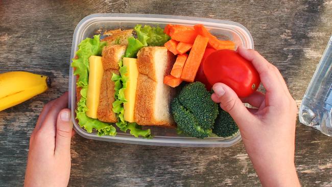 School lunchbox for Northern Family