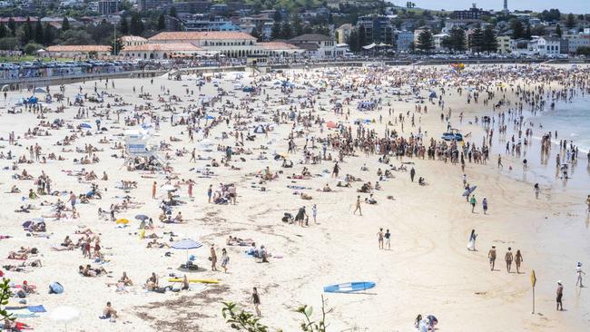 Bondi Beach on Christmas Day in 2023. Picture: Daily Telegraph / Monique Harmer