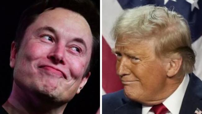 Elon Musk and US president-elect Donald Trump.