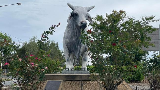 The Big Brahman on the Bruce Highway across from the Red Hill Centre.