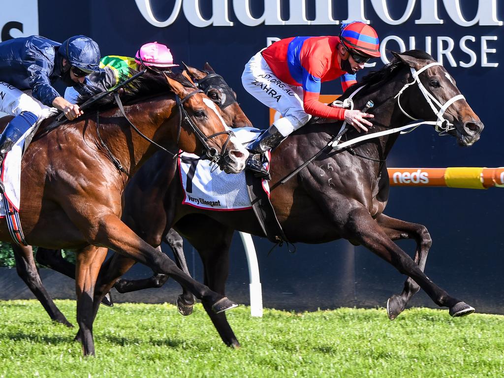 Verry Elleegant gets the better of Anthony Van Dyck (left) in the Caulfield Cup.