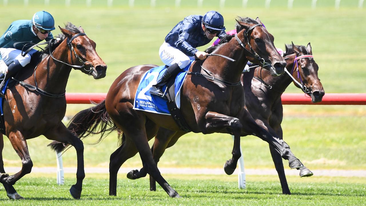 Lady Of Honour was a Sandown midweek winner before successfully stepping up to stakes class at Caulfield. Picture : Racing Photos via Getty Images.