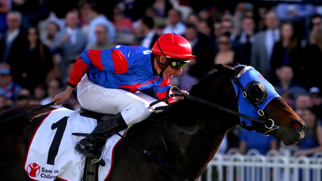 Crack colt Pierro wins at Rosehill in 2012. He’s now one of Australia’s highest-profile stallions, commanding a service fee of $99,000. Picture: File