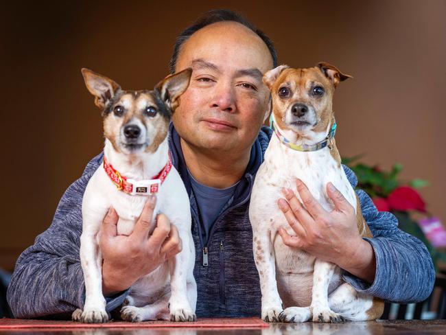 MELBOURNE, MAY 21, 2025: Glenn Tong, a Hawthorn dog-owner was charged and found guilty in court for his dogs Ãexcessive barkingÃ will appeal the ruling later this year. Glenn is pictured with his Jack Russells Marco and Mia. *EDITORS NOTE SUBJECT HAS REQUESTED WE NOT INDIVIDUALLY IDENTIFY EACH DOG* Picture: Mark Stewart