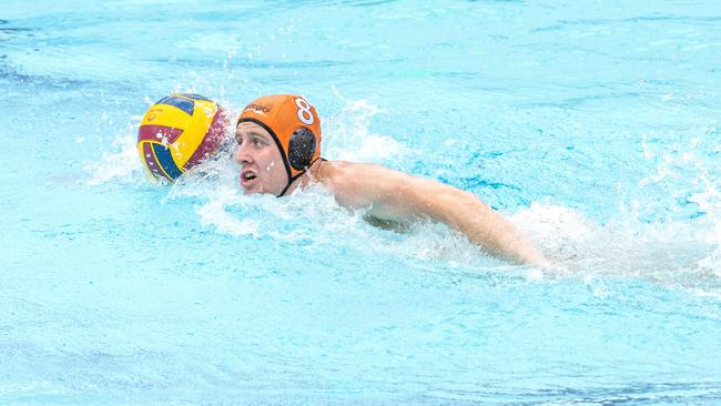 William Downes in the Queensland Premier League Water Polo match between North Brisbane Polo Bears and Carina Leagues Warriors, 2020 - Picture: Richard Walker