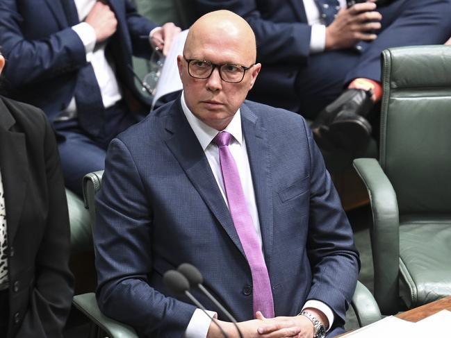 Ms Tingle made controversial comments about Peter Dutton. Picture: NewsWire / Martin Ollman