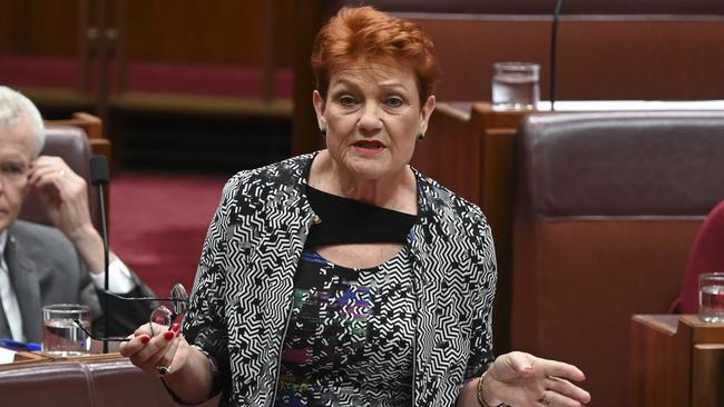 Pauline Hanson says One Nation will vote for the government’s tax cut changes. Picture: NCA NewsWire / Martin Ollman