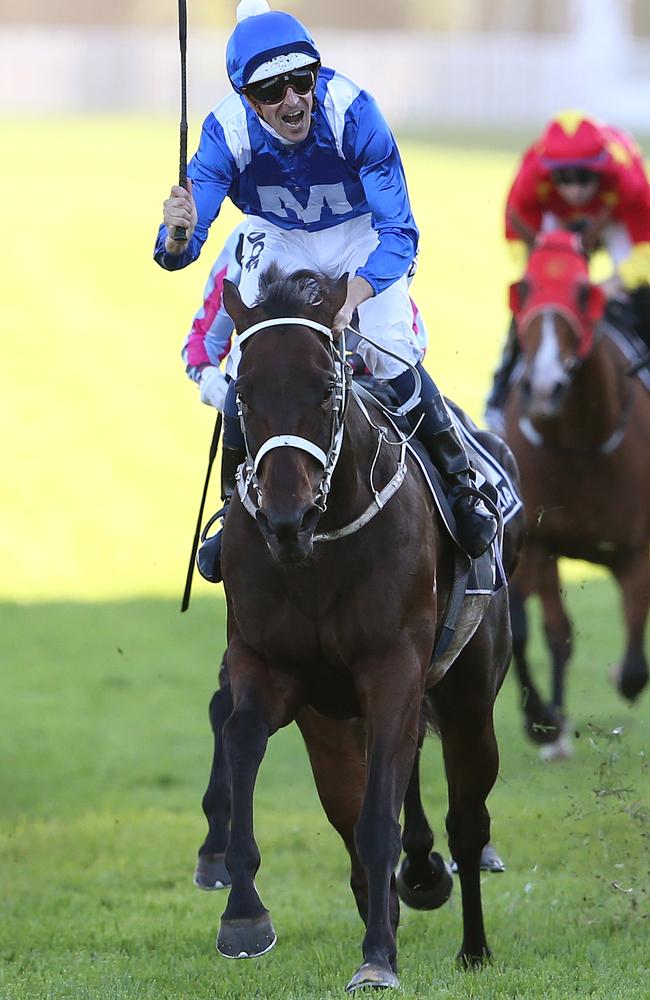 Winx wins the Doncaster Mile with another stunning performance. Picture: AAP