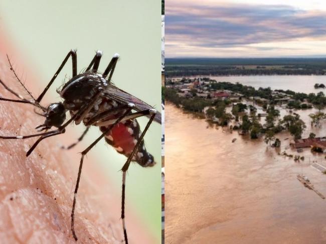 Residents are being urged to take precautions against mosquito-borne illnesses after a wet spring.