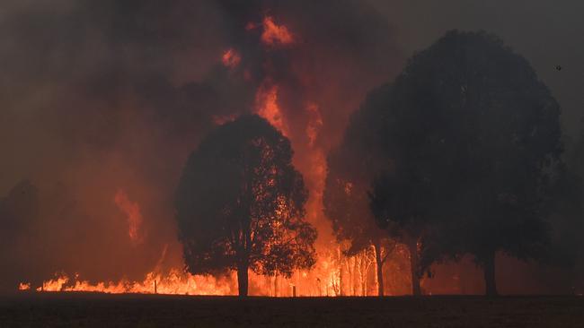 Smoke and flames rise from burning trees as bushfires hit the area around Nowra in NSW. Picture: Saeed Khan/AFP