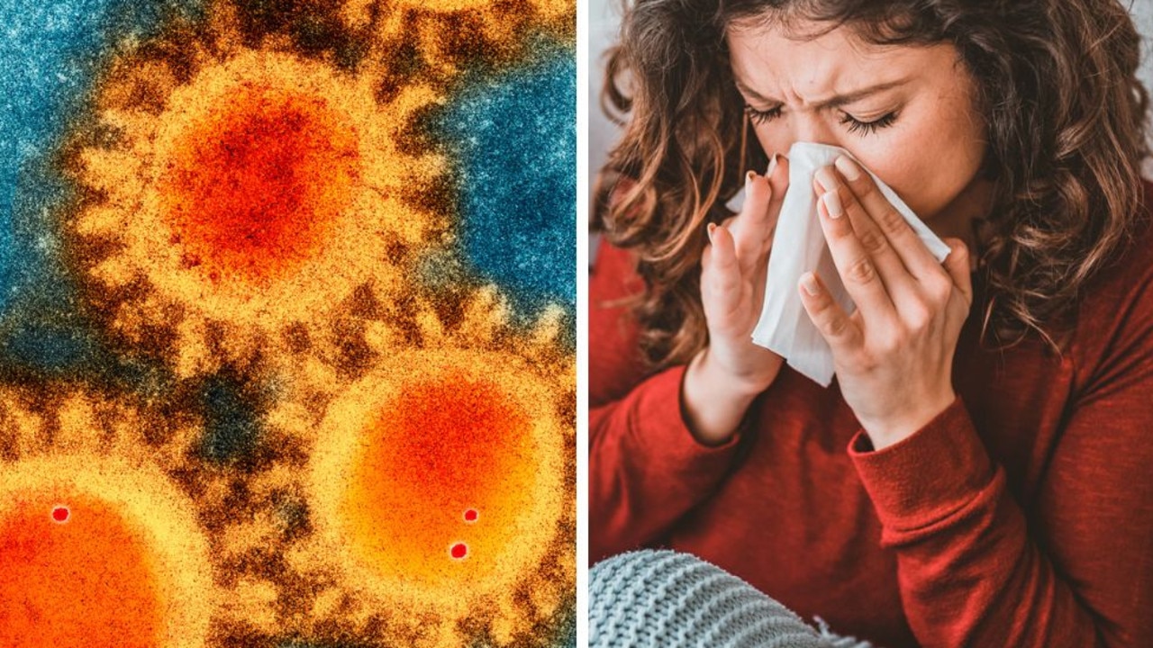 New virus explodes across Australia