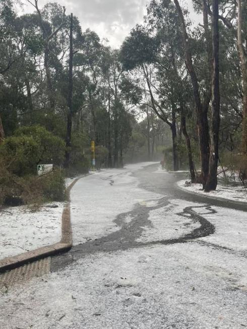 The park was covered in hail after a flash storm swept the Hills. Picture: Cleland Wildlife Park