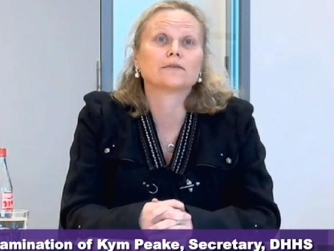 Kym Peake, Department of Health and Human Services secretary Frame grab from Hotel Inquiry