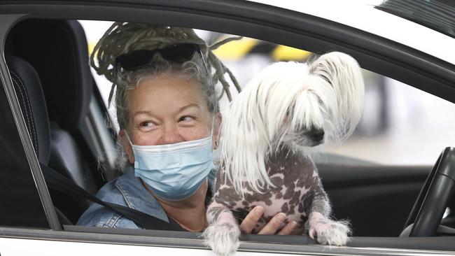 Marisa Rinaldis waits in her car with her dog Leo Wie Wie to be tested. Picture: David Caird