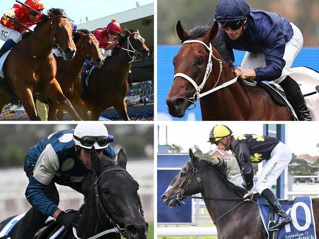 Leading chances for Saturday's Silver Slipper include (top left, red and yellow silks) North England and (top left, right) West Of Swindon plus (top right) Wodeton, while Kinesiology (bottom left) and French Ruler (bottom right) will be key betting plays for Shayne O'Cass and Mitch Cohen.