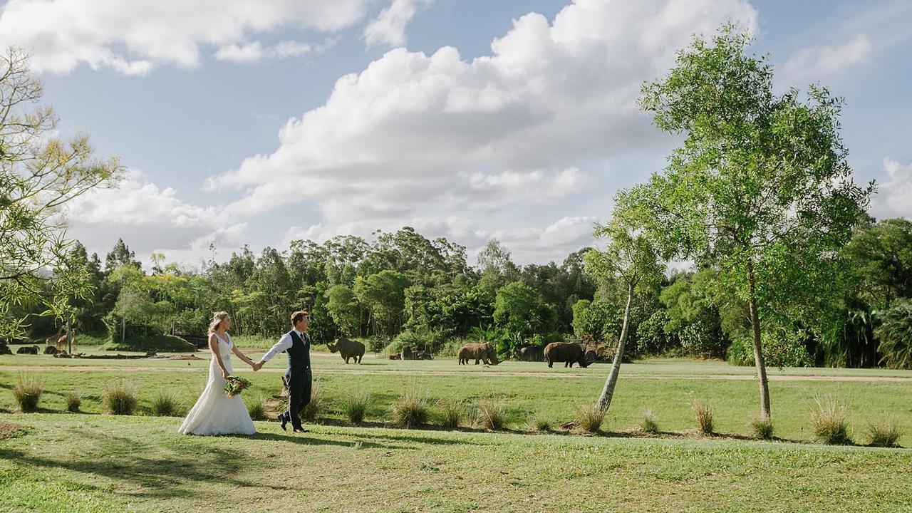 Australia Zoo will cater for small elopements to larger weddings, as well as proposals with private animal encounters.