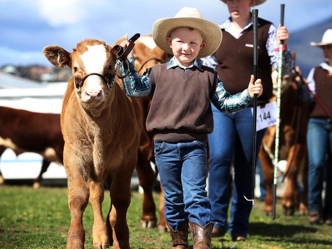 Fine weather helps Royal Hobart Show towards for another bumper day ...