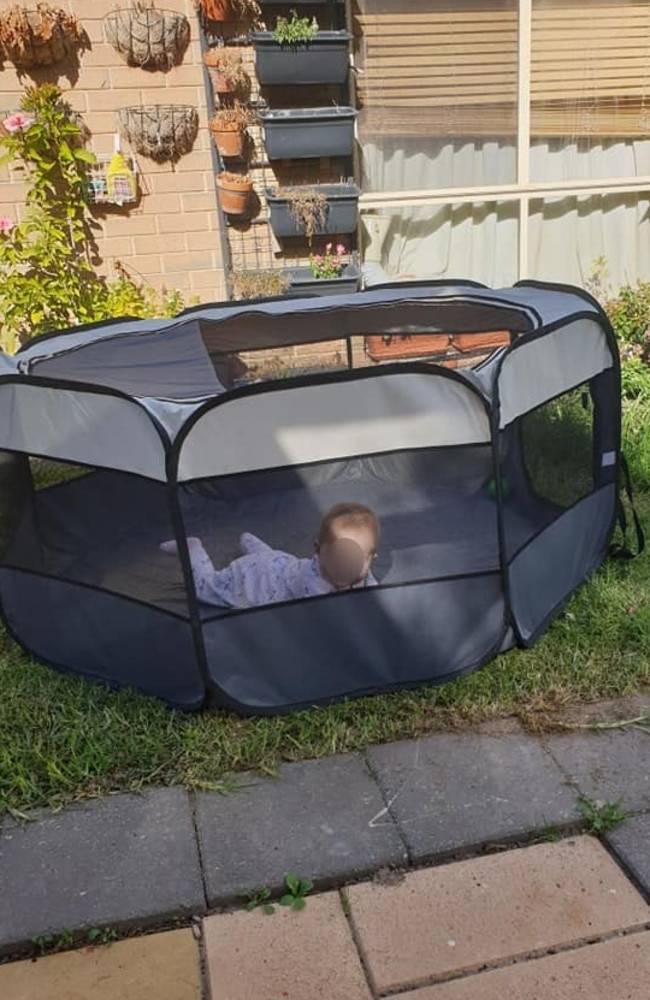 Kmart cheap playpen pet