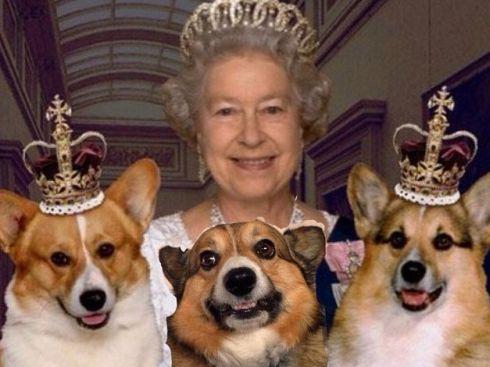 Queen Elizabeth and her beloved corgis.