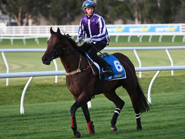 MELBOURNE, AUSTRALIA - FEBRUARY 18: Michael Dee riding Espionage during gallops ahead of the Sportsbet Blue Diamond meeting, at Caulfield Racecourse on February 18, 2025 in Melbourne, Australia.  (Photo by Vince Caligiuri/Getty Images)