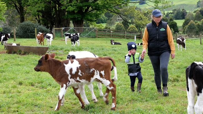 Getting the right balance between ecological and economical has been an award winner for Cheryl and Theo.