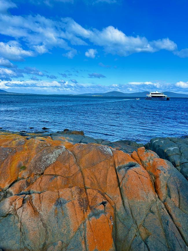 East Coast Tasmania with the vessel in the background. Photo: Elizabeth Meryment