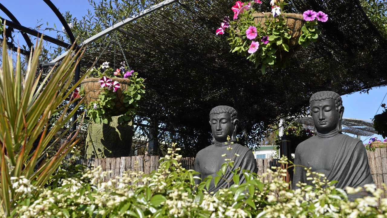 Shaun and Renee Morriss of Creative Oasis, Mort St garden entry of The Chronicle Garden Competition 2016 of the Carnival of Flowers, Sunday, September 4, 2016. Picture: Kevin Farmer